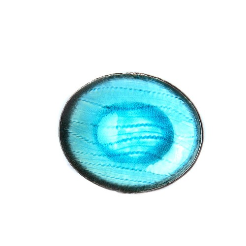 C5088.front-1080px.jpg