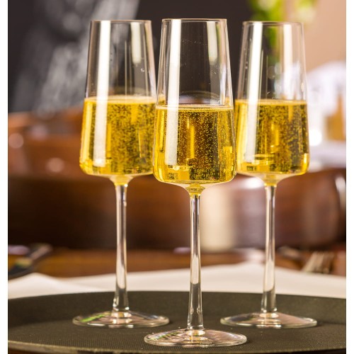 159-00-29_POWER_Champagne_G.jpg