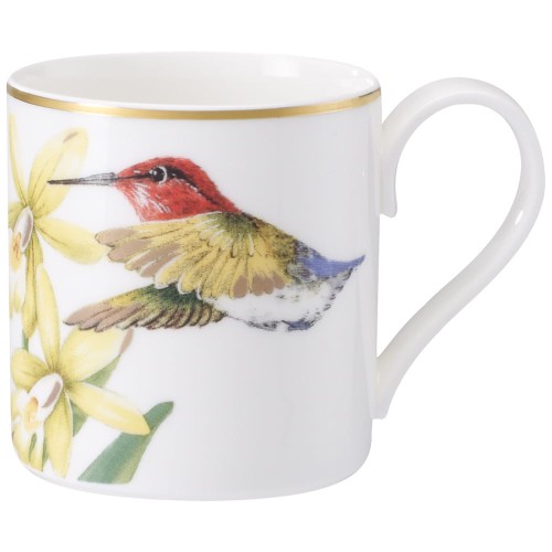 amazonia-filzianka-epresso-.jpg