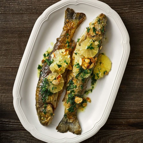 8470f063228b516caf77750cd33f4997