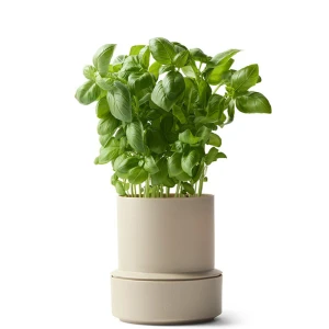 Billund-pot_cumin_herb_low.jpg