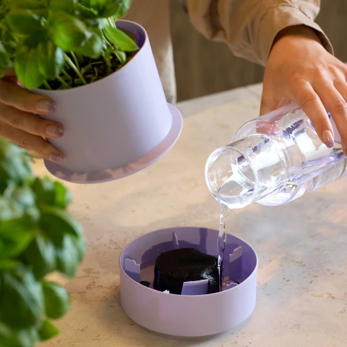 Crushgrind_billund_self-watering_water.jpg