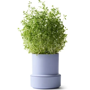 Billund-pot_lavender_herb_low.jpg