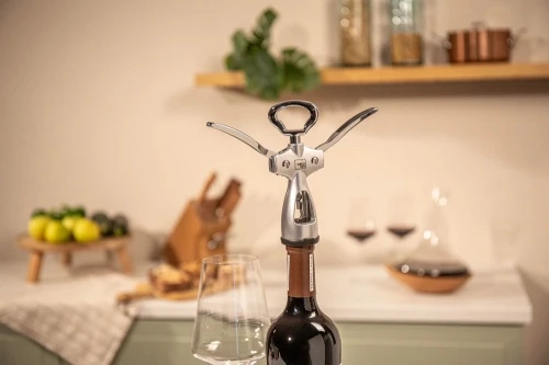 WingedCorkscrew_Silver_45A2756.jpg