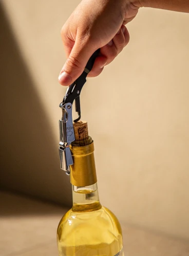 Ambiance_Waiters_Corkscrew_PUSH_Small.jpg